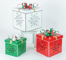 Load image into Gallery viewer, METAL PACKAGE WITH LID SET OF 3
