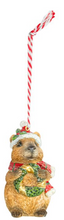 Load image into Gallery viewer, HAPPY CAPYBARA ORNAMENT
