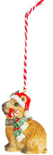 Load image into Gallery viewer, HAPPY CAPYBARA ORNAMENT
