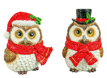 Load image into Gallery viewer, HOOT OWL FRIENDS STANDER

