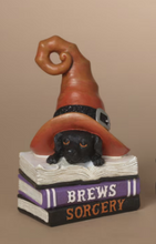 Load image into Gallery viewer, HALLOWEEN BOOKS WITH WITCH HAT
