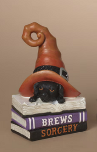 HALLOWEEN BOOKS WITH WITCH HAT