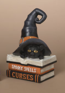 HALLOWEEN BOOKS WITH WITCH HAT