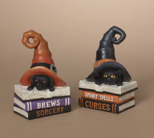 Load image into Gallery viewer, HALLOWEEN BOOKS WITH WITCH HAT
