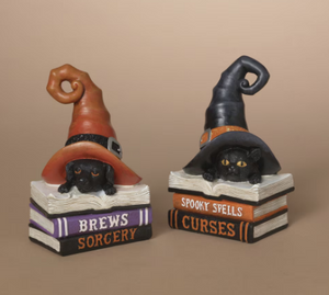 HALLOWEEN BOOKS WITH WITCH HAT
