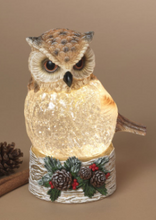 Load image into Gallery viewer, LIGHTED SPINNING WATER GLOBE OWL OR CARDINAL
