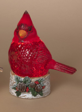 Load image into Gallery viewer, LIGHTED SPINNING WATER GLOBE OWL OR CARDINAL
