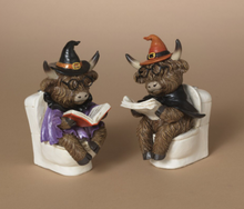 Load image into Gallery viewer, HALLOWEEN HIGHLAND COW SITTING &amp; READING
