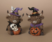 Load image into Gallery viewer, HALLOWEEN HIGHLAND COW WEARING WITCH HAT

