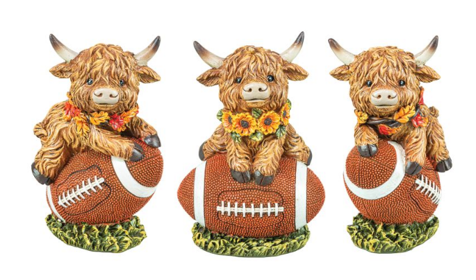 FOOTBALL MOUNTED HIGHLAND COW