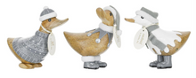 Load image into Gallery viewer, DCUK ALPINE DUCKYS
