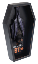 Load image into Gallery viewer, COFFIN BAT PLAQUES
