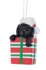 COMFY & COZY PET ORNAMENT