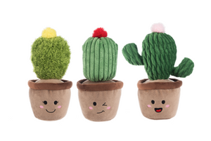 WHIMSICAL CACTUS