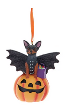 Load image into Gallery viewer, CAT OR  DOG ON PUMPKIN ORNAMENT
