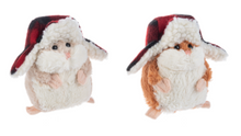 Load image into Gallery viewer, FLAPJACKS LI&#39;L HAMSTERS
