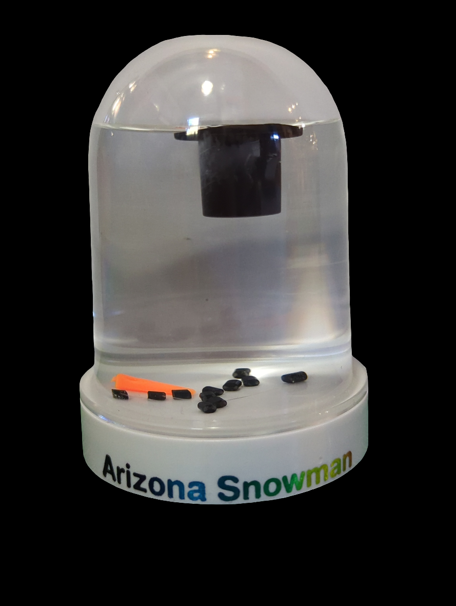 ARIZONA SNOWMAN WATERGLOBE