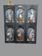 Load image into Gallery viewer, DCUK ALPINE DINKY DUCKS
